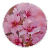 Bathed in Roze Japanse Cherry Blossom Keramische Knop (Voorkant)