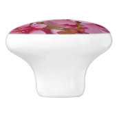 Bathed in Roze Japanse Cherry Blossom Keramische Knop (Zijkant)