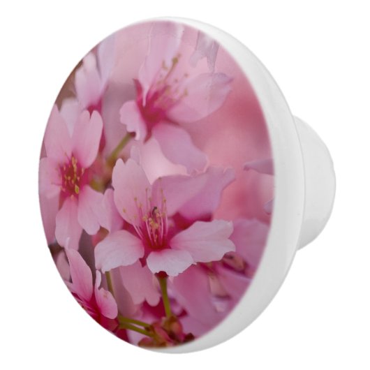 Bathed in Roze Japanse Cherry Blossom Keramische Knop (Rechts)