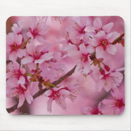 Bathed in Roze Japanse Cherry Blossom Muismat