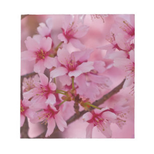Bathed in Roze Japanse Cherry Blossom Notitieblok