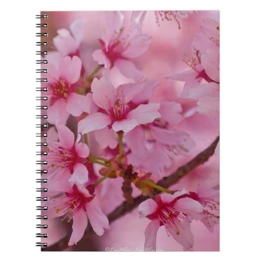 Bathed in Roze Japanse Cherry Blossom Notitieboek (Voorkant)
