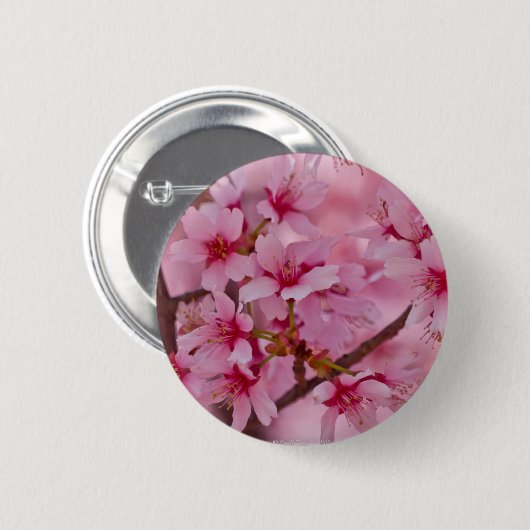 Bathed in Roze Japanse Cherry Blossom Ronde Button 5,7 Cm (Voorkant /achterkant)
