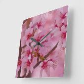 Bathed in Roze Japanse Cherry Blossom Vierkante Klok (Hoek)