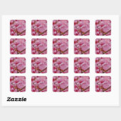 Bathed in Roze Japanse Cherry Blossom Vierkante Sticker (Vel)