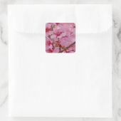 Bathed in Roze Japanse Cherry Blossom Vierkante Sticker (Tas)