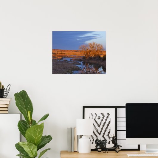 Bathed in zonlicht de Calamus Poster (Thuiskantoor)