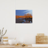 Bathed in zonlicht de Calamus Poster (Keuken)