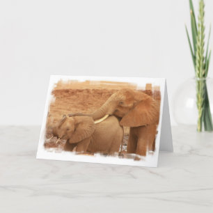 Bathing Baby Elephant Wenskaart Kaart