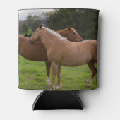 Bathing Beauties Blikjeskoeler (Voorkant)