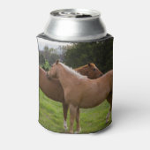 Bathing Beauties Blikjeskoeler (Blikje Achterkant)