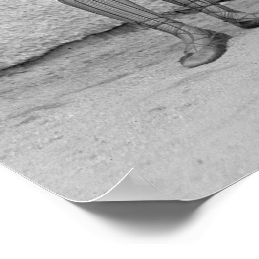 Bathing Beauty Contest, 1922. foto Poster (Hoek)