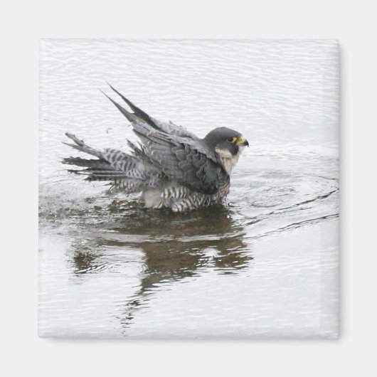 Bathing Beauty Magnet (Voorkant)