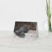 Bathing Beauty Note of Wenskaarten Kaart (Achterkant)