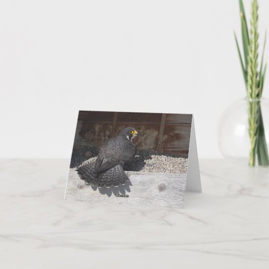 Bathing Beauty Note of Wenskaarten Kaart (Achterkant)