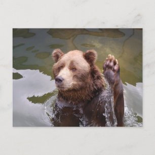 Bathing Brown Beer Briefkaart
