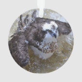 Bathing Osprey Ornament (achterkant)