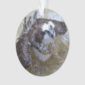 Bathing Osprey Ornament (voorkant)