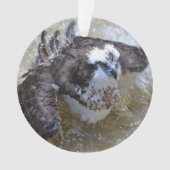 Bathing Osprey Ornament (voorkant)