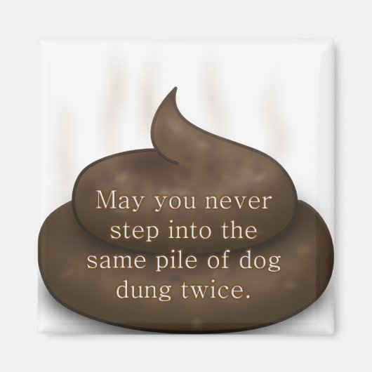 Bathroom Blessing: Stap niet in Poop Twice Magneet (Voorkant)