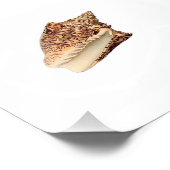 Bathroom in de bruine Seashell Beach Foto Afdruk (Hoek)