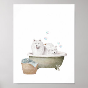 Bathroom Wall Art, Samoyed honden in een  bad Poster