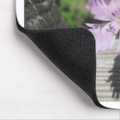 Baths Pink Dianthus on Fence Muismat (Hoek)