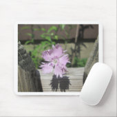 Baths Pink Dianthus on Fence Muismat (Met muis)