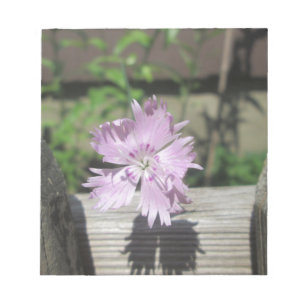 Baths Pink Dianthus on Fence Notitieblok