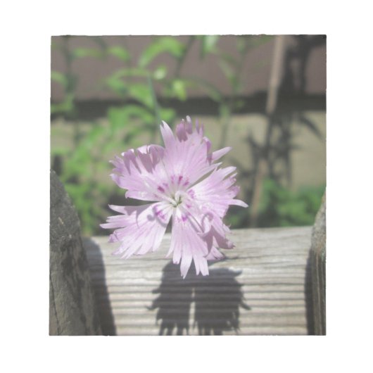 Baths Pink Dianthus on Fence Notitieblok (Voorkant)
