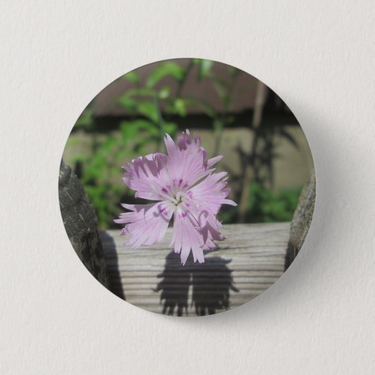 Baths Pink Dianthus on Fence Ronde Button 5,7 Cm (Voorkant)