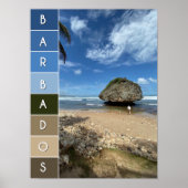 Bathsheba, Barbados Poster (Voorkant)