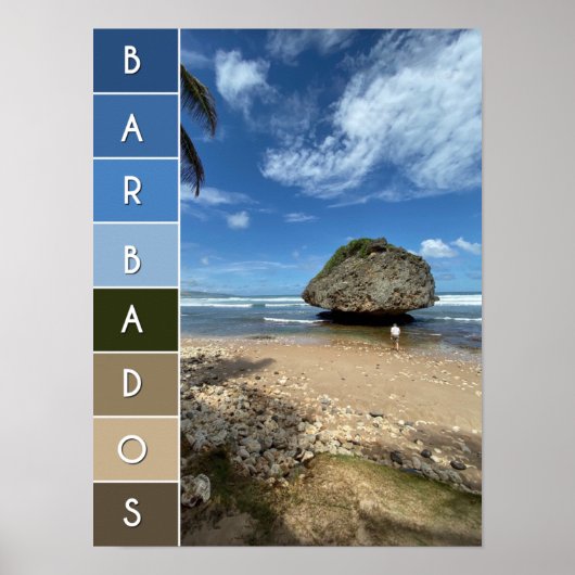 Bathsheba, Barbados Poster (Voorkant)