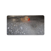 Bathtub Etiket (Voorkant)