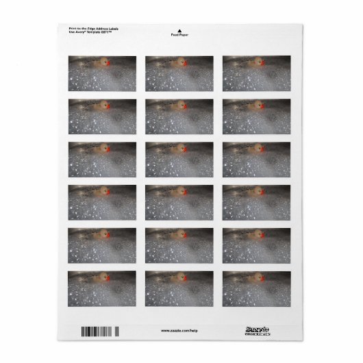 Bathtub Etiket (Full Sheet)