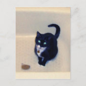 Bathtub Playtime Briefkaart (Voorkant)