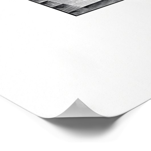  Bathtub Poster (Hoek)