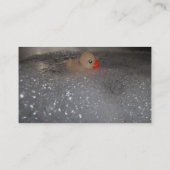 Bathtub Visitekaartje (Achterkant)