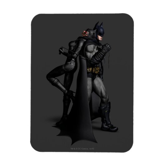 Batman Arkham City | Batman en Catwoman Magneet (Verticaal)