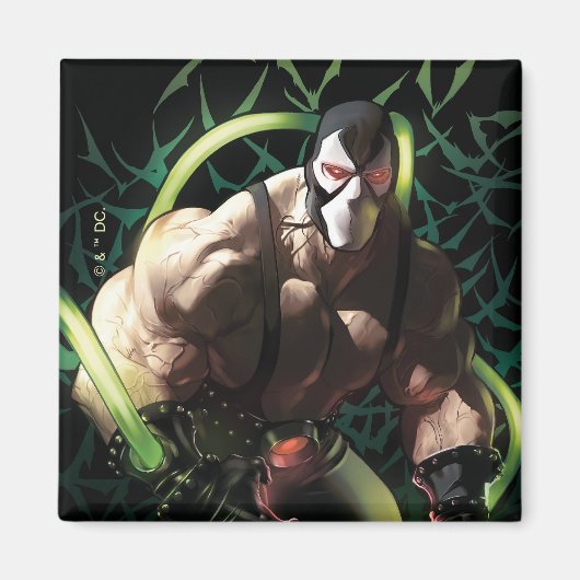Batman Bane Bat Zwerm Illustratie Magneet (Voorkant)