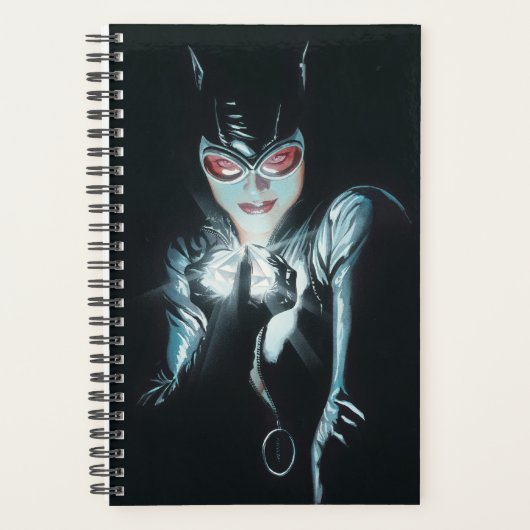 Batman Catwoman Faces of Evil Cover Illustration Planner (Voorkant)