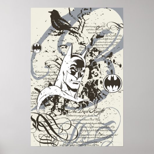 Batman Dark Knight Manuscript Montage Poster (Voorkant)