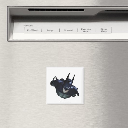 Batman Flying Magneet (Insitu (Vaatwasser))