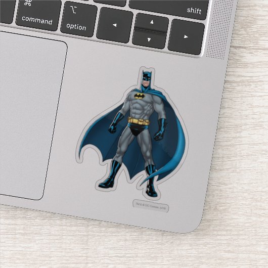 Batman Kicks Sticker (Detail)