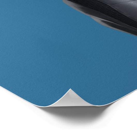 Batman met Batclaw Poster (Hoek)