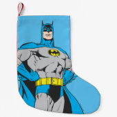 Batman Stands Kleine Kerstsok (Voorkant)