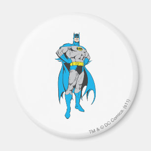Batman Stands Magneet
