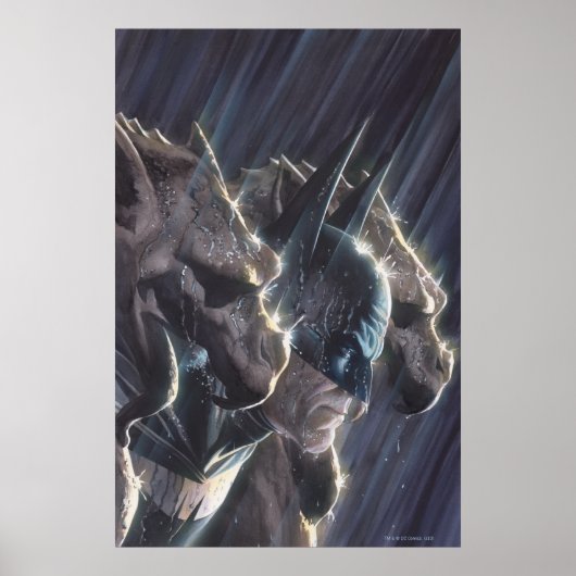 Batman Vol 1 #681 Hoesje Poster (Voorkant)