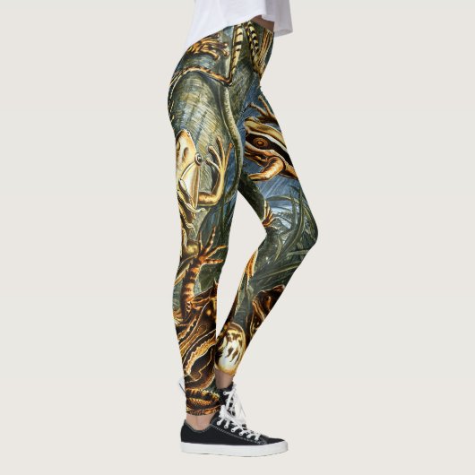 Batrachia Frogs door Ernst Haeckel Leggings (Rechts)