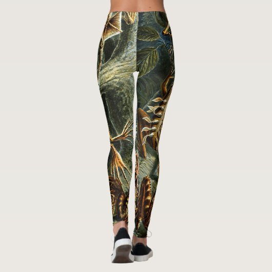 Batrachia Frogs door Ernst Haeckel Leggings (Achterkant)